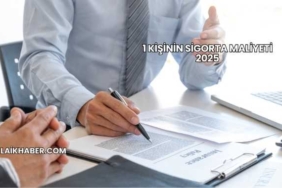 1 Kişinin Sigorta Maliyeti 2025