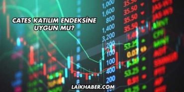 Cates Katılım Endeksine Uygun mu?