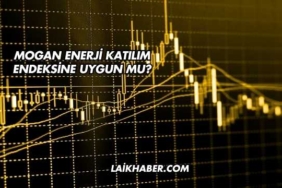 Mogan Enerji Katılım Endeksine Uygun mu?
