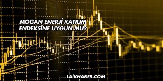 Mogan Enerji Katılım Endeksine Uygun mu?