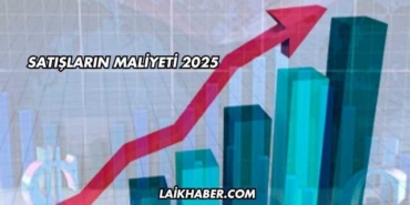 Satışların Maliyeti 2025