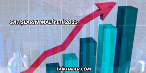 Satışların Maliyeti 2025