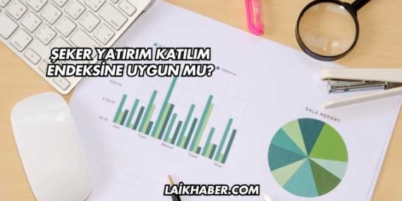 Şeker Yatırım Katılım Endeksine Uygun mu?