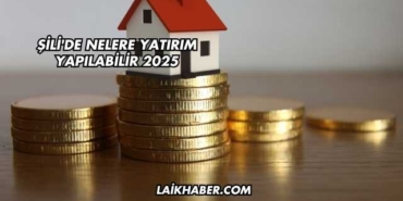Şili'de Nelere Yatırım Yapılabilir 2025